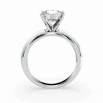 Load image into Gallery viewer, Round solo (L-G)