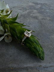 Engagement Rings (Natural)