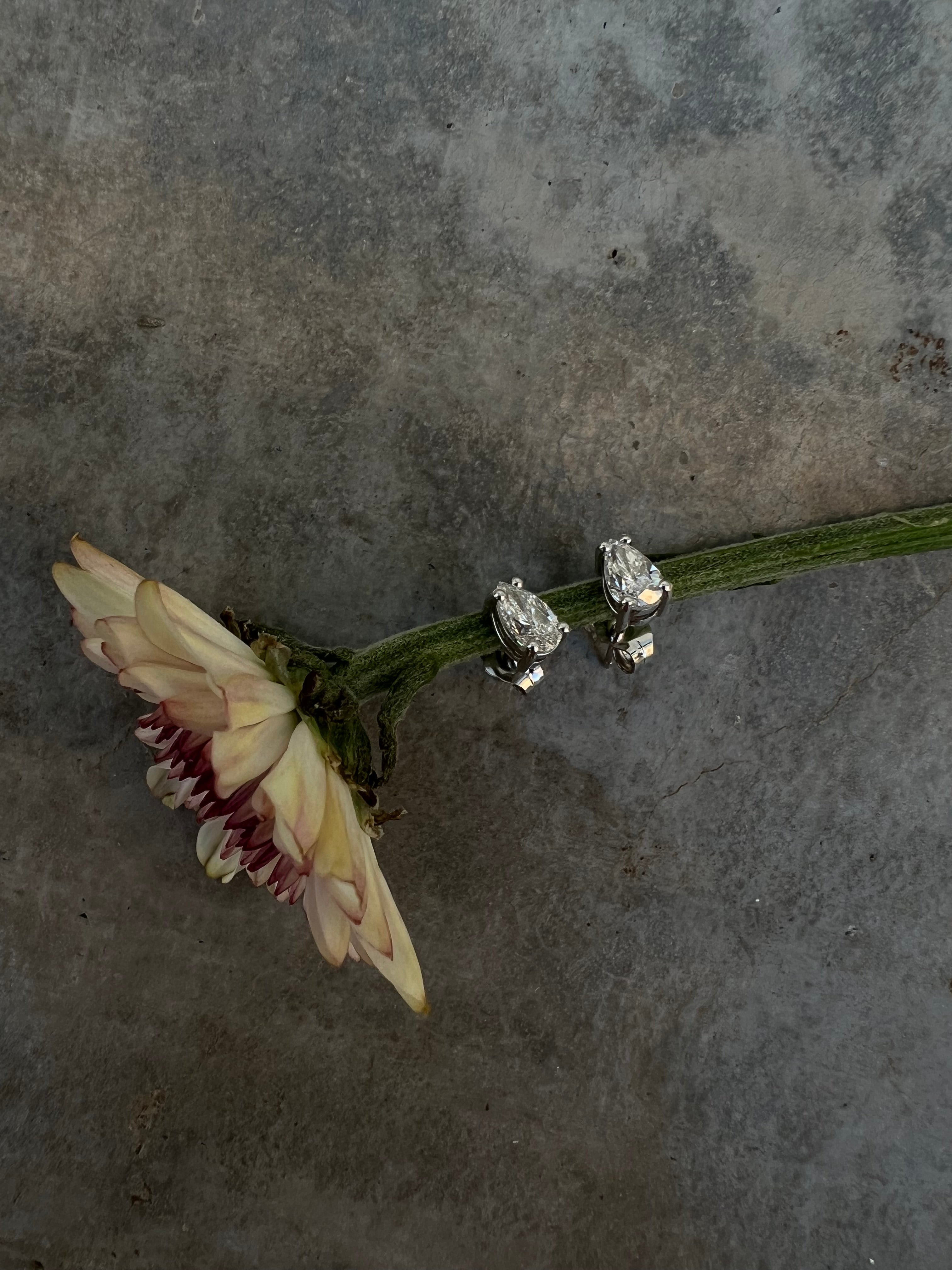 Earrings (Natural)