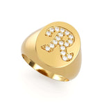 Load image into Gallery viewer, Signet Ring (Natural)
